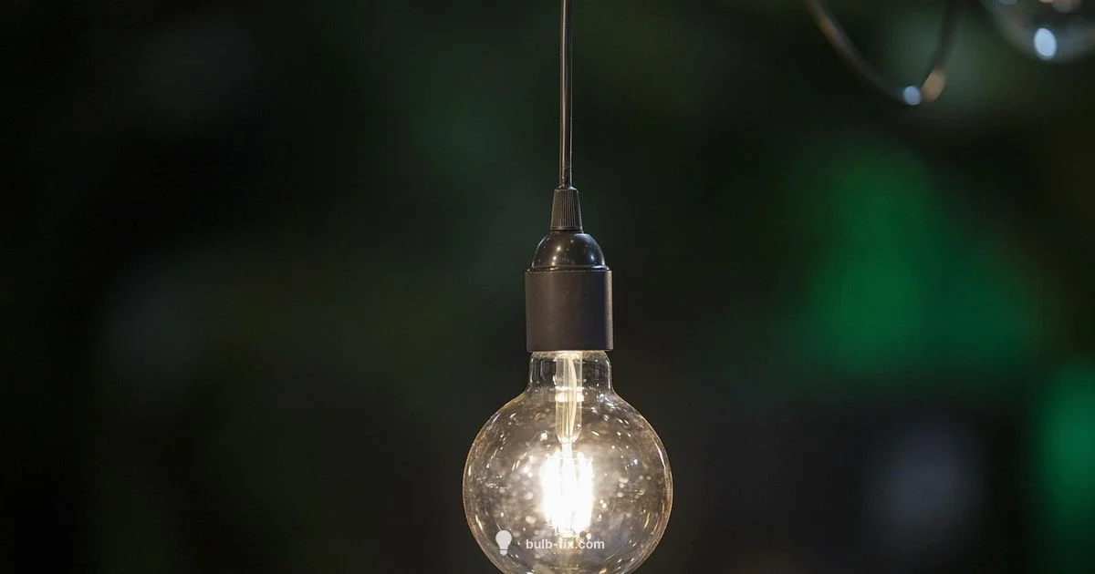 Electric Bulbs Guide Electric Bulbs Guide - Bulb Fix