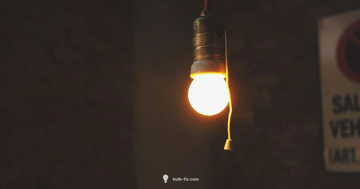 G9 Halogen Guide G9 Halogen Guide - Bulb Fix