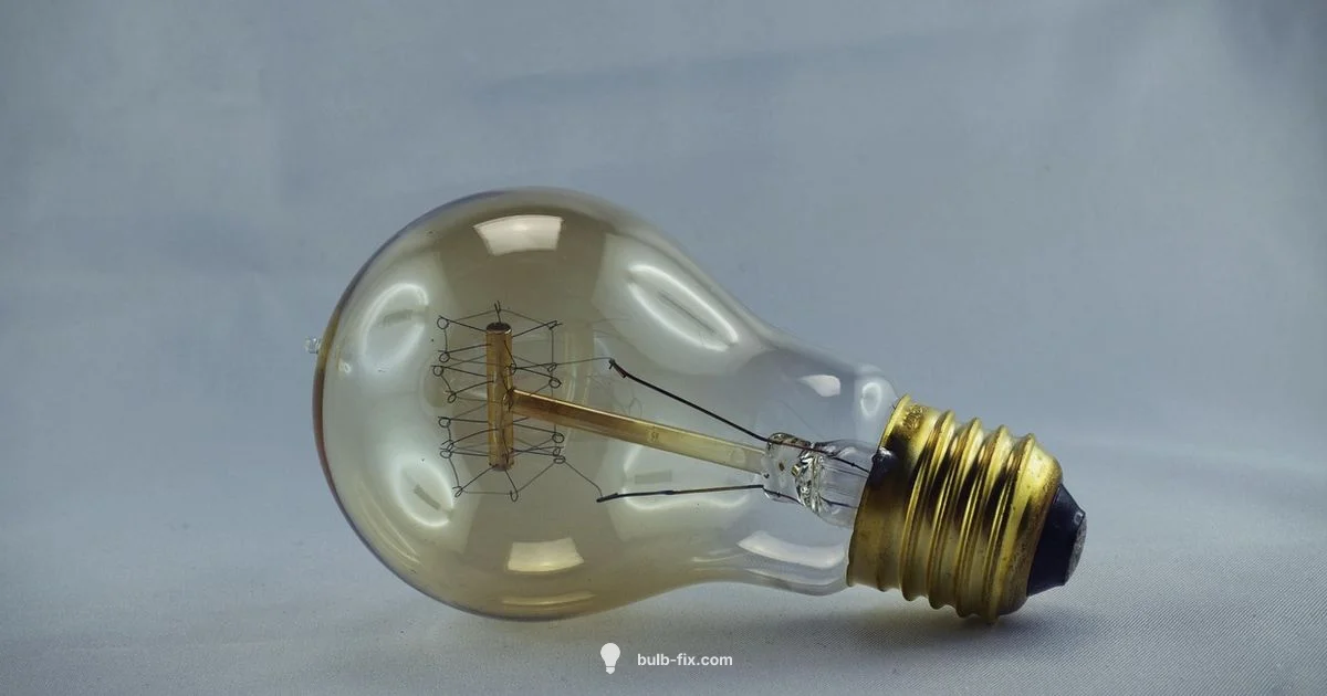Dimmable Bulbs - Bulb Fix