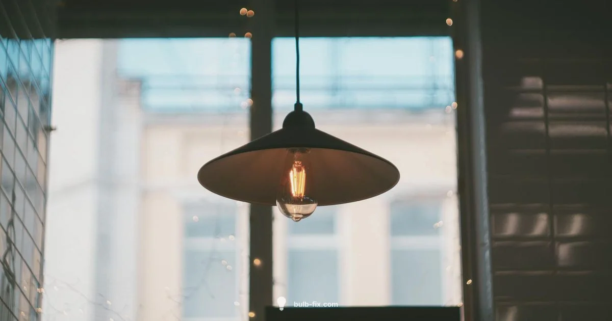 Ceiling Bulb Covers - Bulb Fix