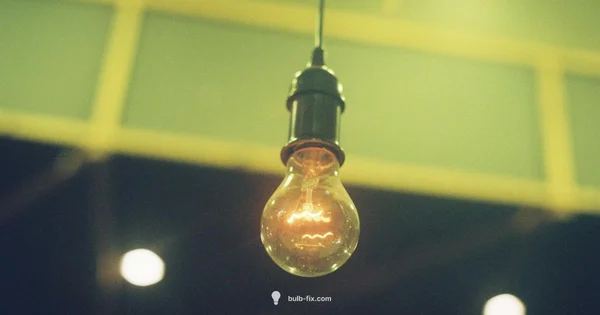 Regular Bulbs in 2026 - Bulb Fix