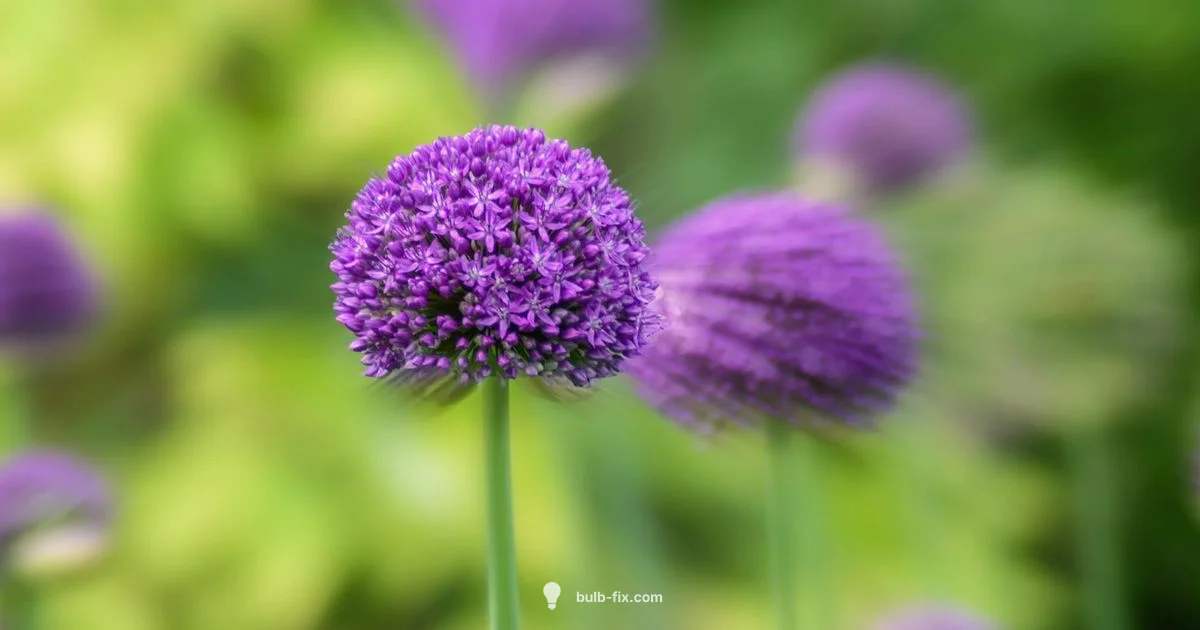 Bulb Part Crossword - Bulb Fix