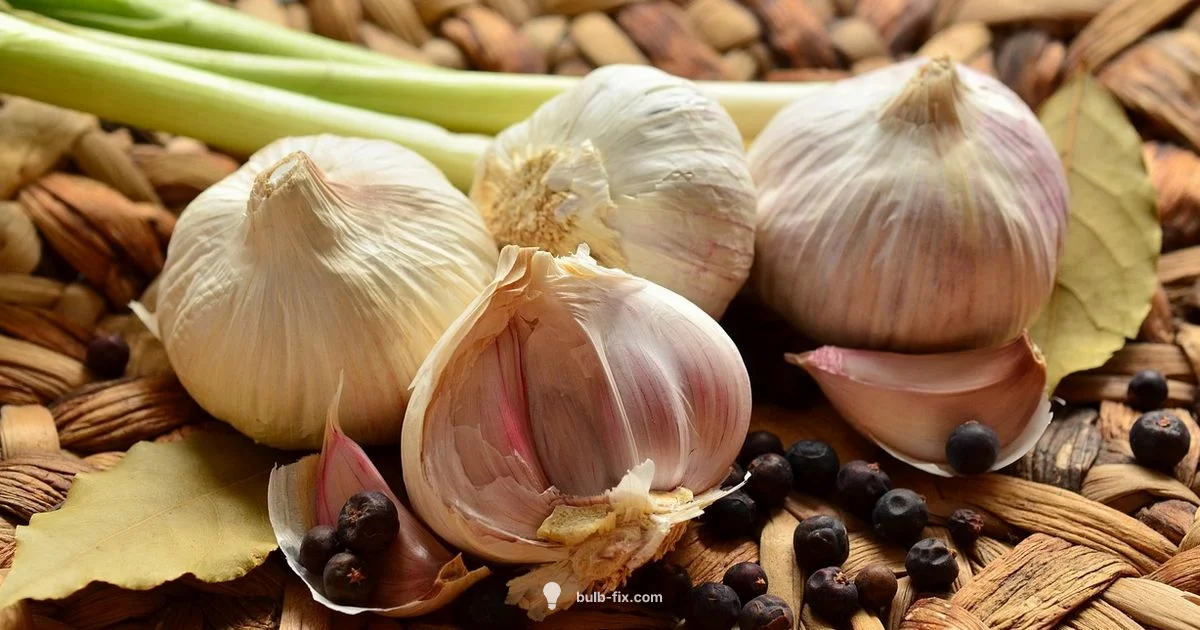 Garlic Bulb Guide - Bulb Fix