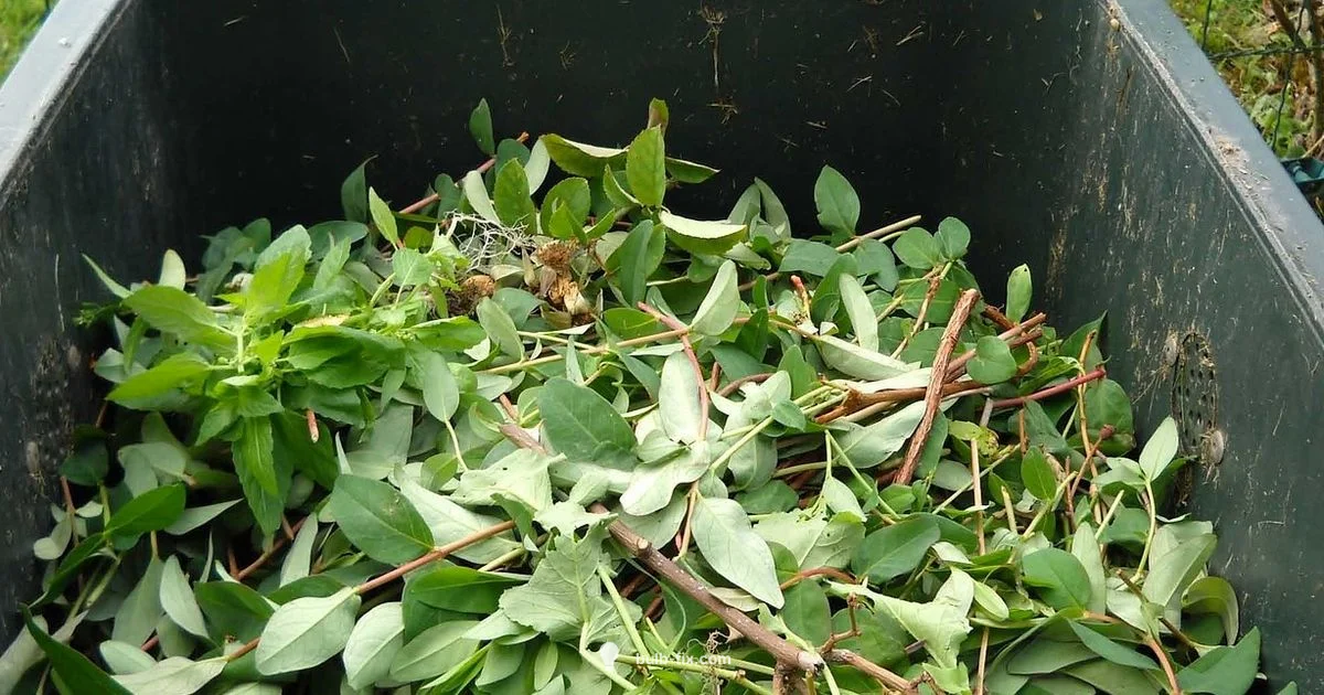 Bulb Recycling Guide - Bulb Fix