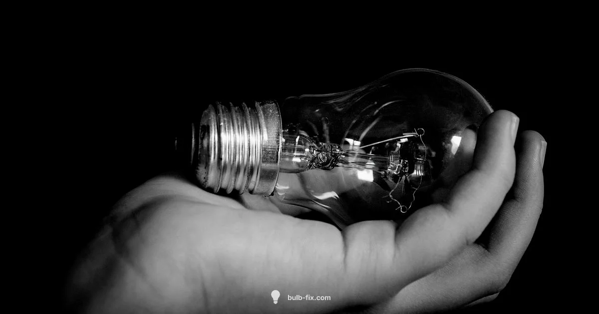 UV Bulb Guide UV Bulb Guide - Bulb Fix