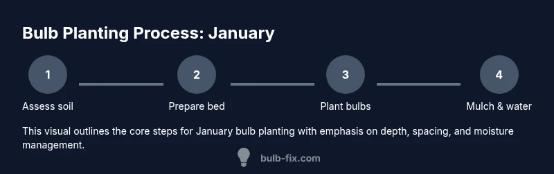 Process diagram for January bulb planting showing steps A-D