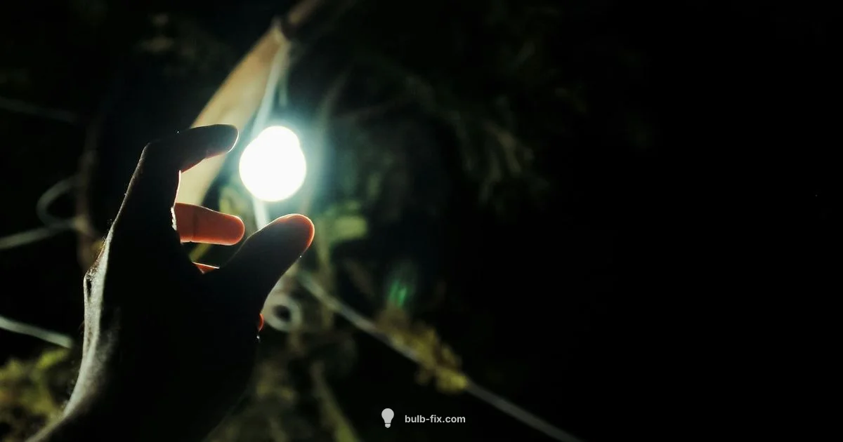 Brightest Rechargeable Bulb - Bulb Fix