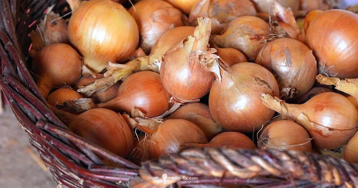 Bulb Vegetables Guide - Bulb Fix