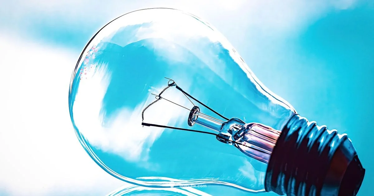 Standard Base Guide - Bulb Fix