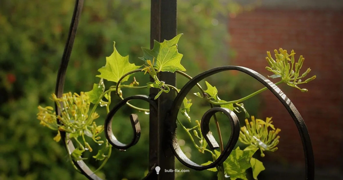 Winter Bulb Planting Winter Bulb Planting - Bulb Fix