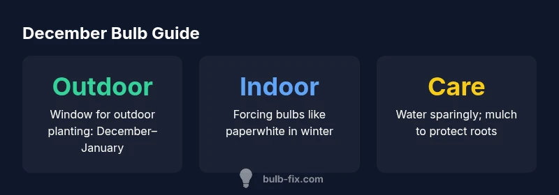 infographic showing December bulb planting tips