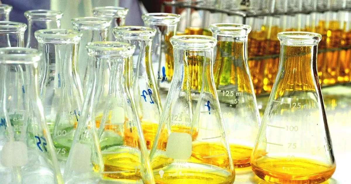 Early Light History Early Light History - Bulb Fix