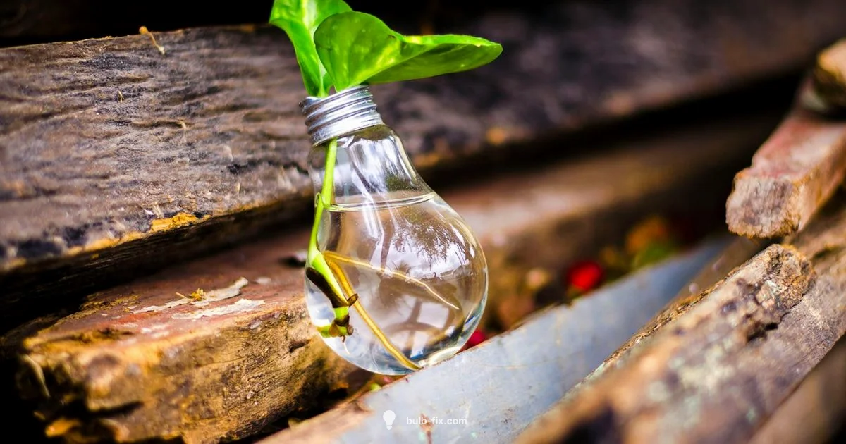 Dex 001 Dex 001 - Bulb Fix