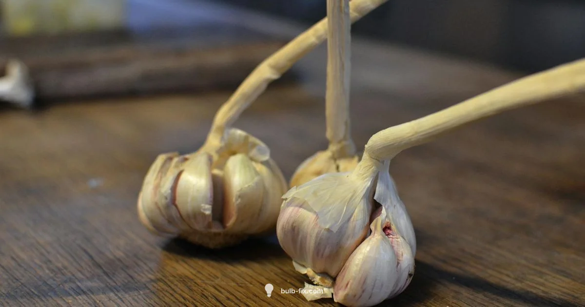 Glassless Bulb Hazard - Bulb Fix