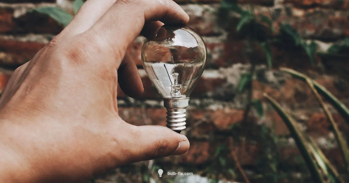 60W Guide 60W Guide - Bulb Fix