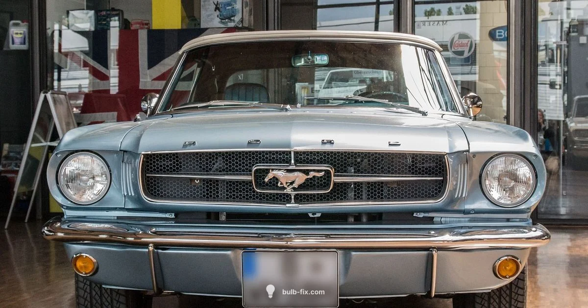 Automotive Lighting Basics Automotive Lighting Basics - Bulb Fix