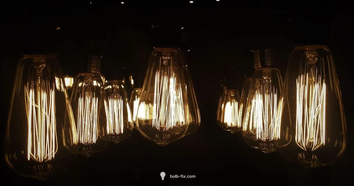 Guide to A19 Bulbs Guide to A19 Bulbs - Bulb Fix