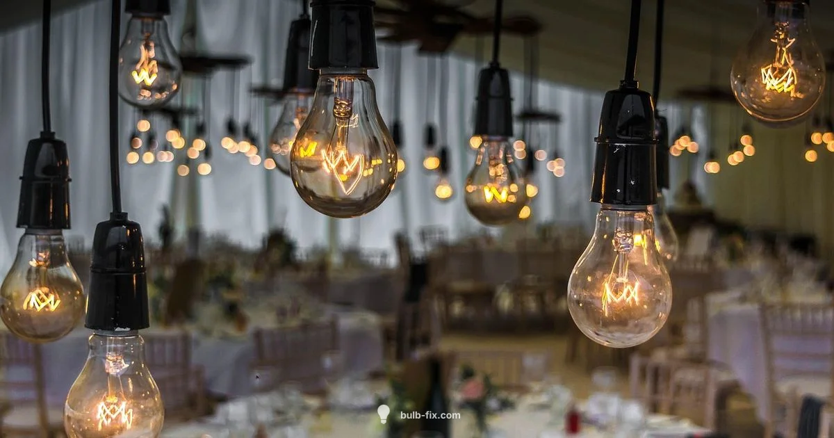 E12 Base Essentials - Bulb Fix