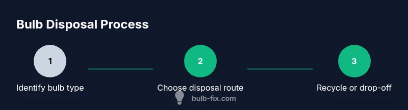 Bulb disposal process infographic