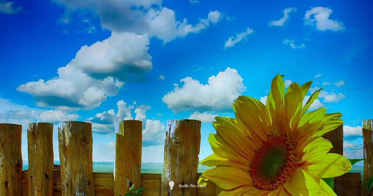 Summer Bulb Color - Bulb Fix