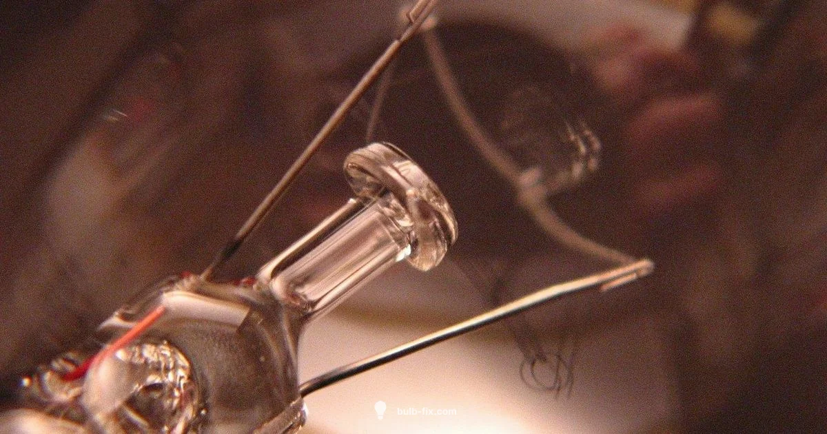 60W Clear Bulb Guide 60W Clear Bulb Guide - Bulb Fix