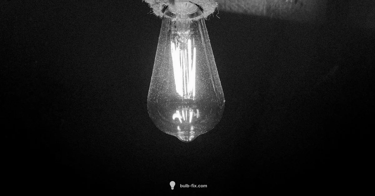 Socket Safety Guide - Bulb Fix