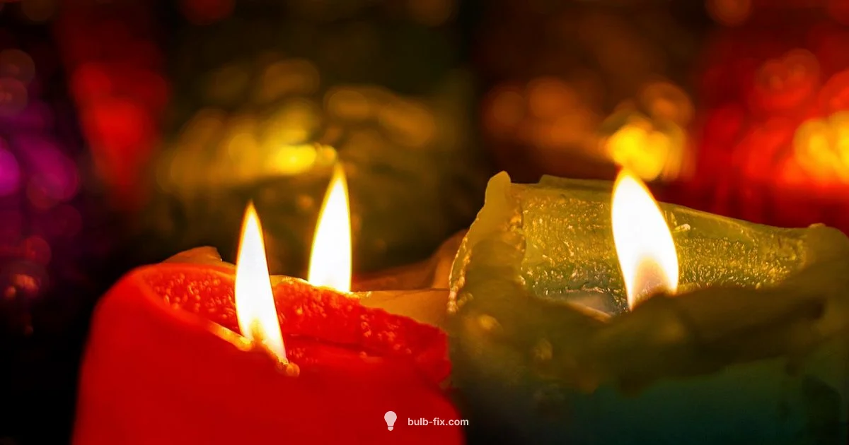 Bulb & Blossom Fix - Bulb Fix