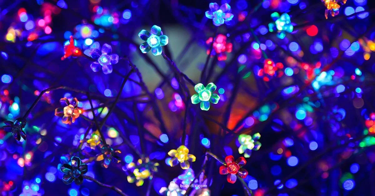 LED Bulbs on Amazon - Bulb Fix