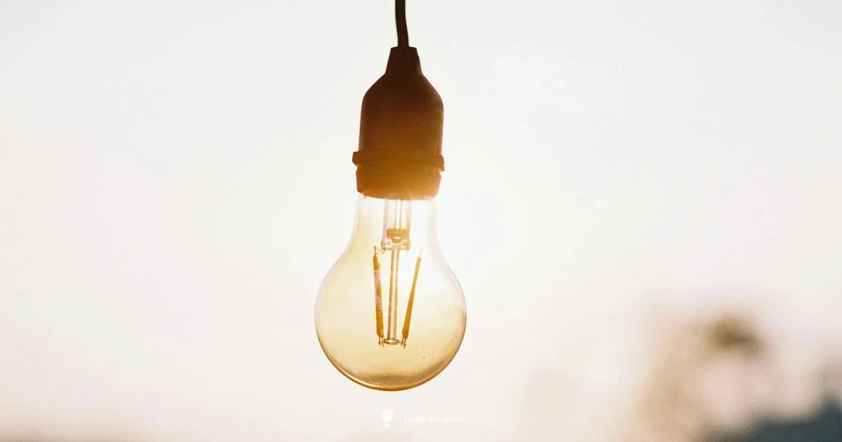 Outdoor Flood Lighting - Bulb Fix