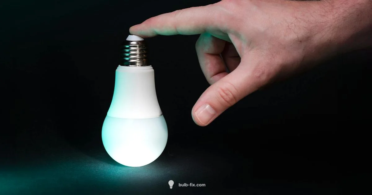 LED Globe Basics - Bulb Fix