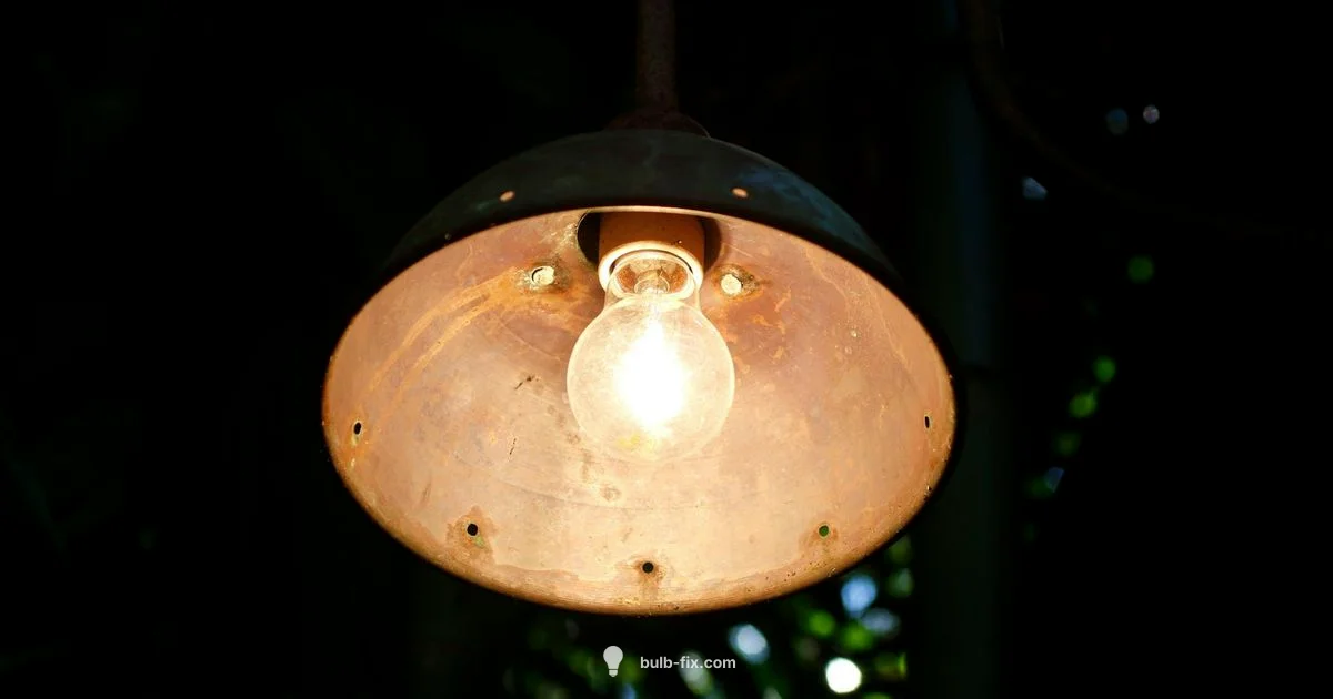 Par38 Bulb Guide - Bulb Fix