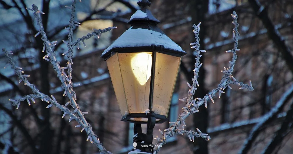 Outdoor LED Guide Outdoor LED Guide - Bulb Fix