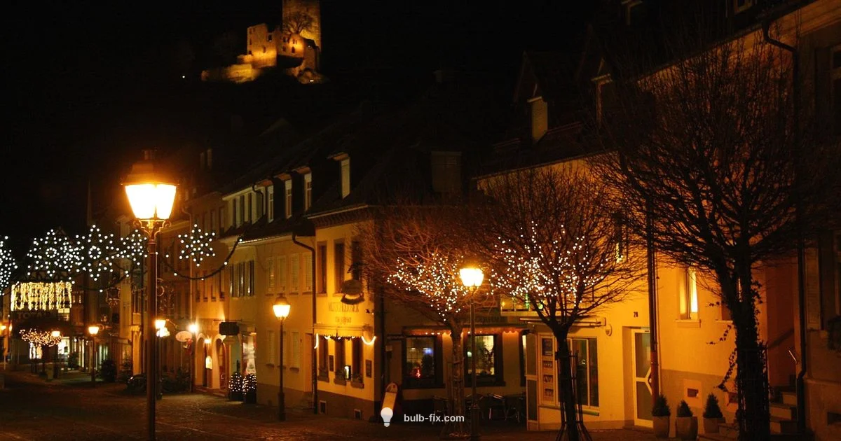 Large Bulb Lighting Large Bulb Lighting - Bulb Fix