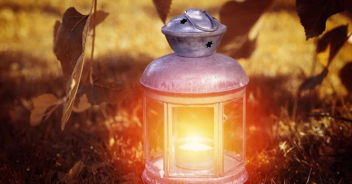 Common Bulb Bases - Bulb Fix