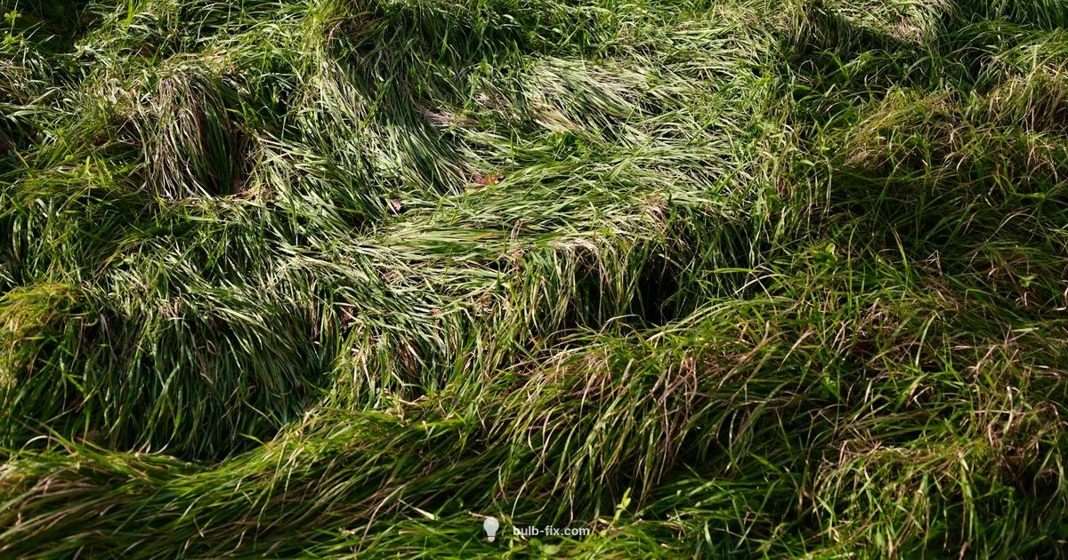 Bulbasaur Matchups - Bulb Fix