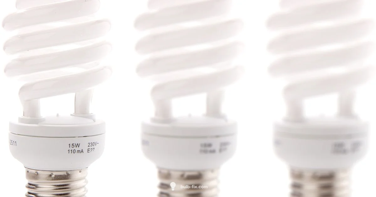 Screw Base Basics Screw Base Basics - Bulb Fix