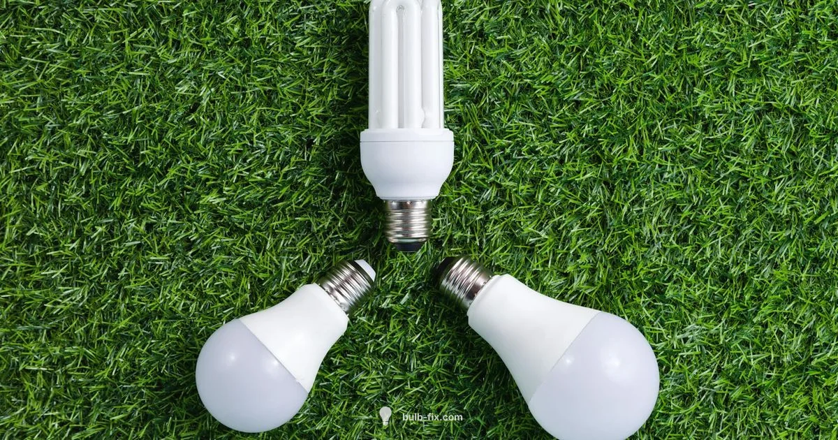 CFL Recycling Guide - Bulb Fix