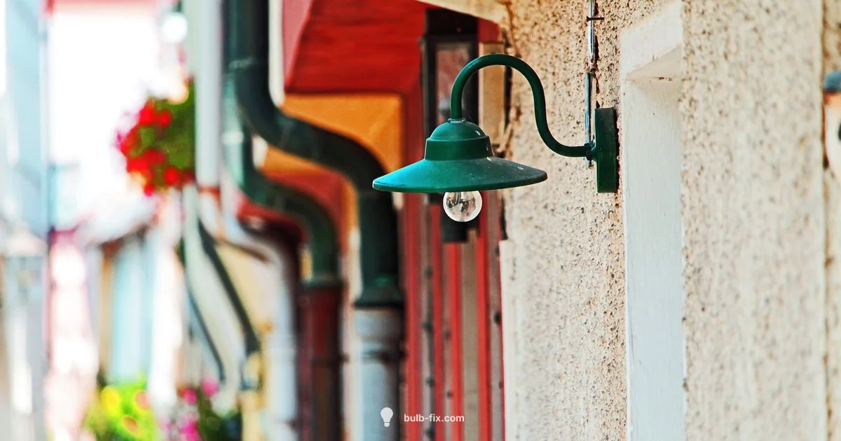 Plants and Bulbs - Bulb Fix