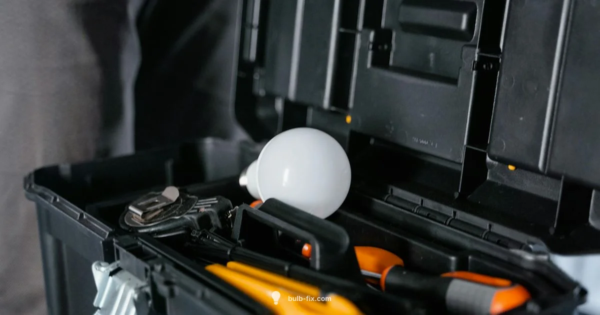Bulb Basics - Bulb Fix