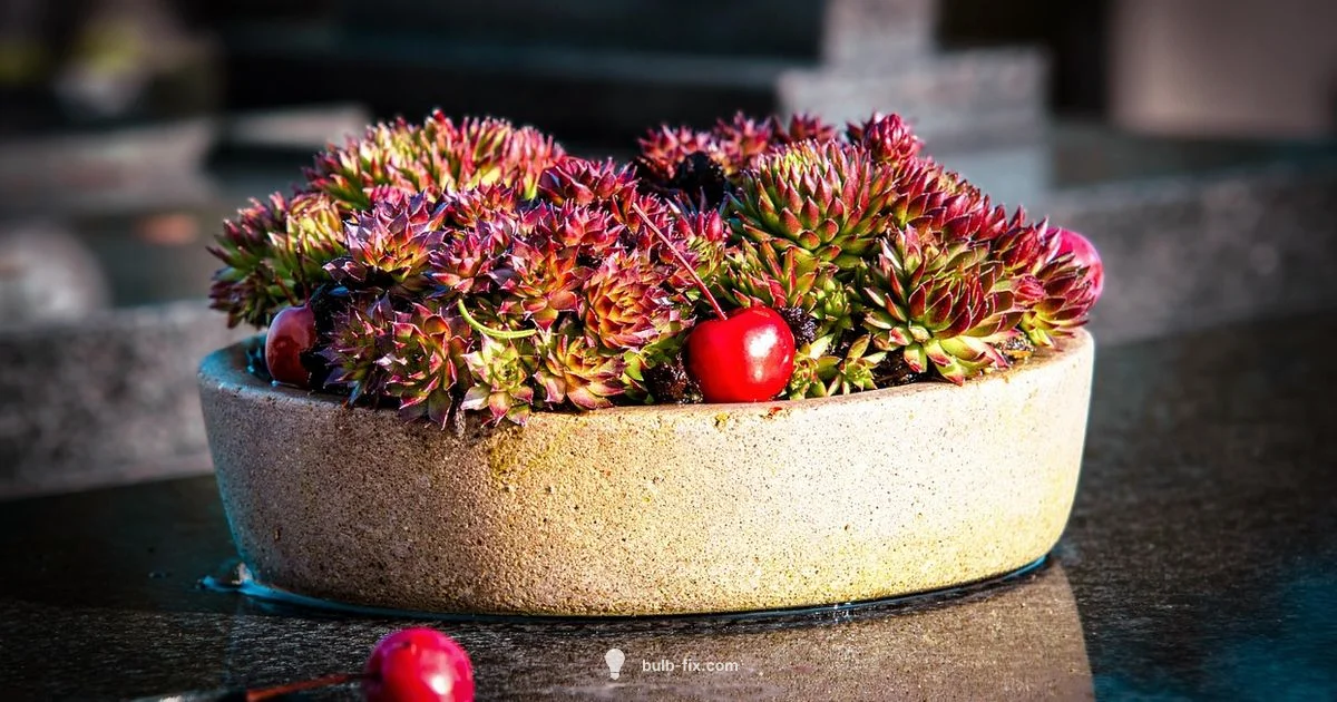 November Bulb Planting November Bulb Planting - Bulb Fix