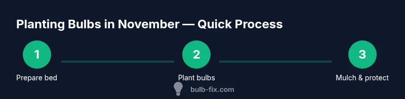 Process diagram for planting bulbs in November