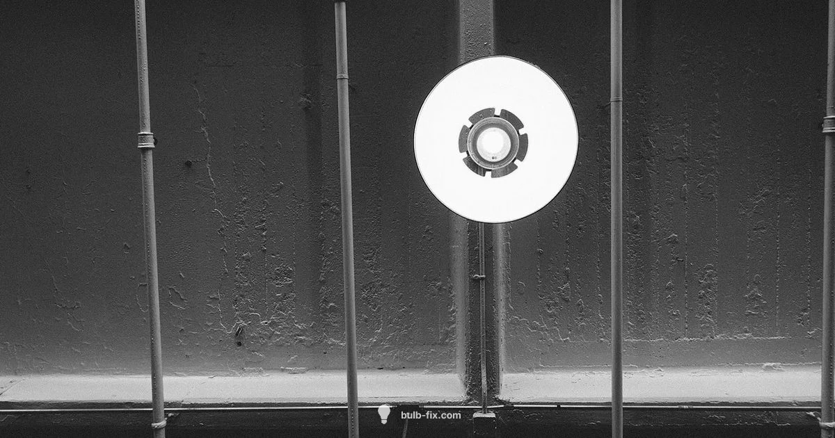 Ceiling Light Bulb Change - Bulb Fix