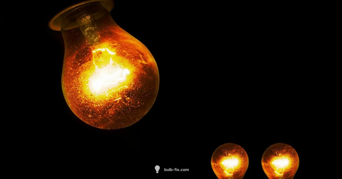 Bulb Failure Guide Bulb Failure Guide - Bulb Fix