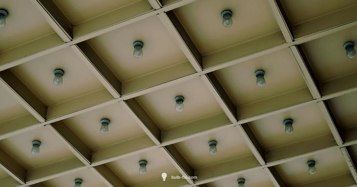 60W Lumens Guide - Bulb Fix