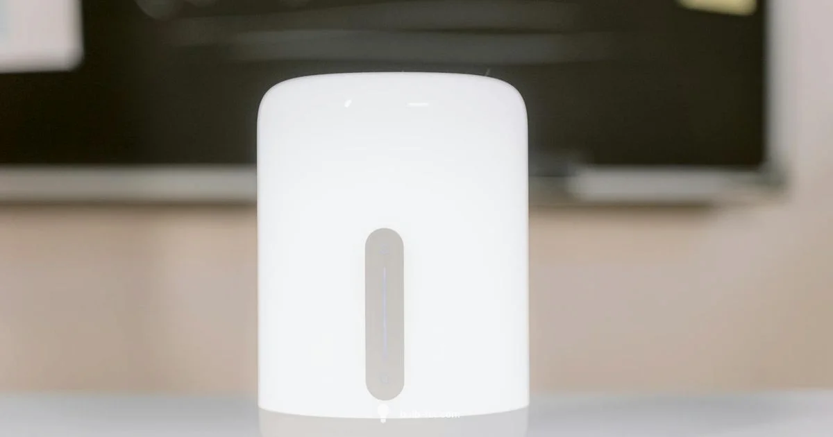 Tiny Socket Guide Tiny Socket Guide - Bulb Fix