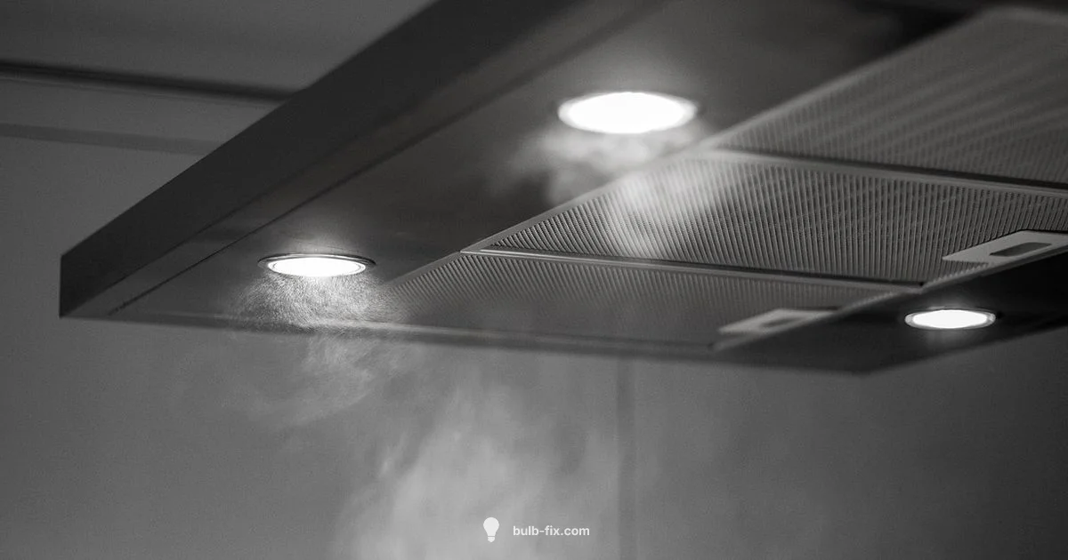 Bulb Extractor Guide - Bulb Fix