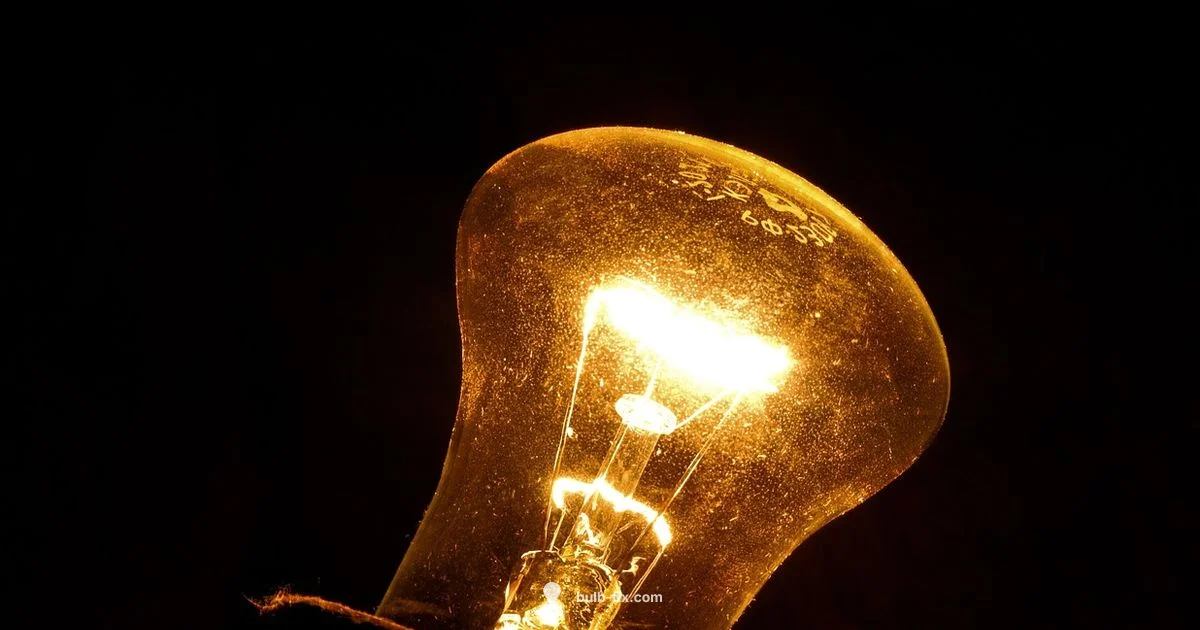 Bulb Troubleshooting Guide - Bulb Fix