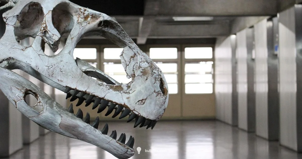 Bulbasaur Dinosaur? - Bulb Fix