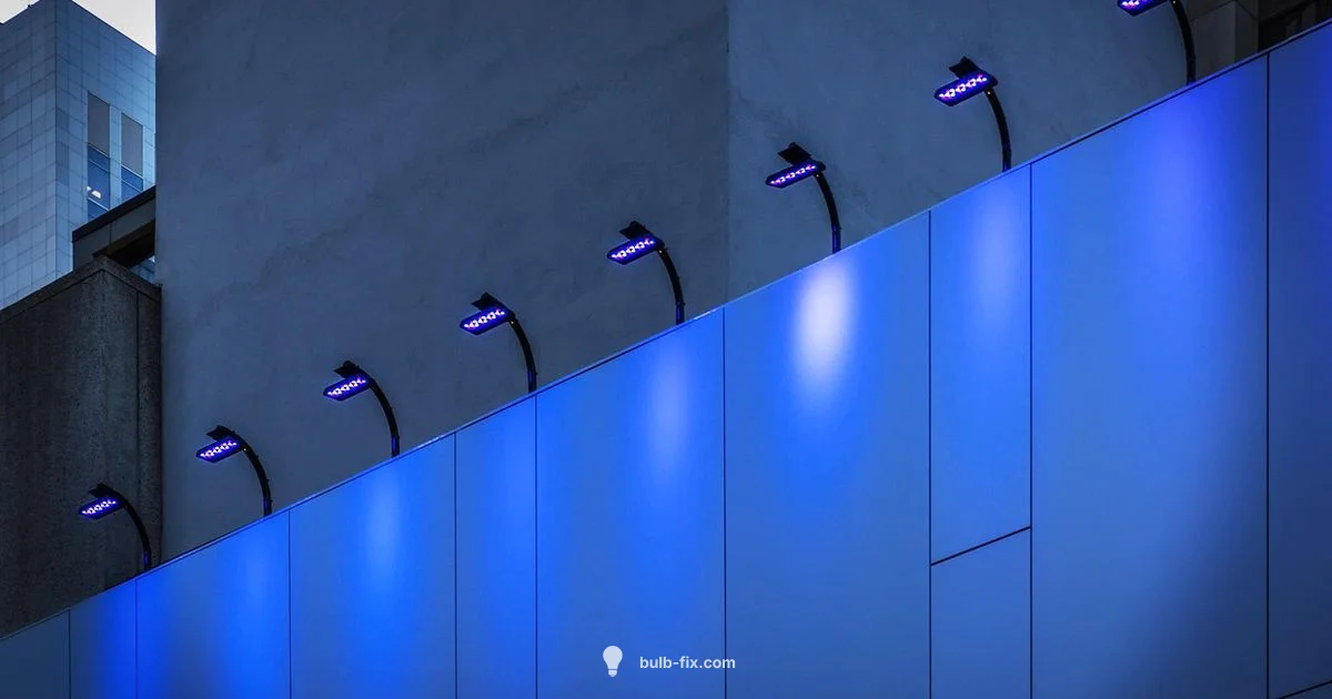 Outdoor Flood Light - Bulb Fix