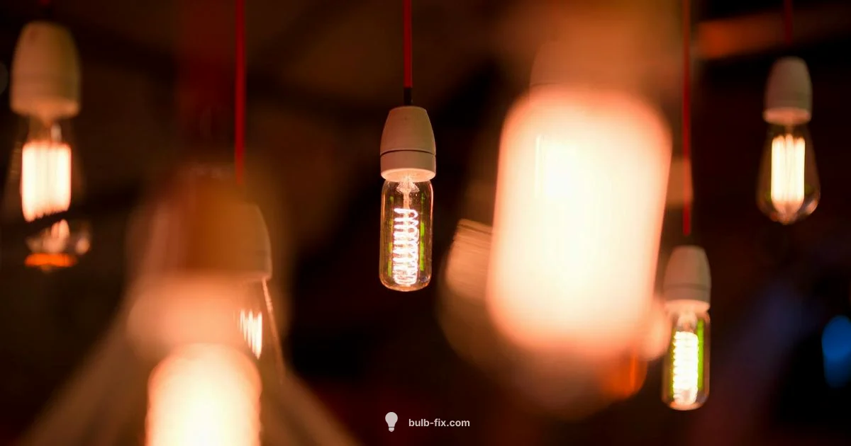 40W Bulb Guide - Bulb Fix